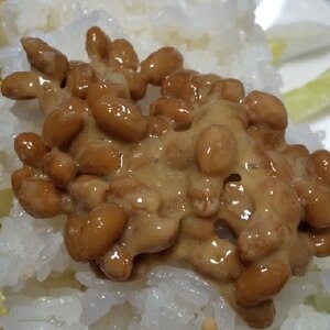 マヨ七味 納豆
